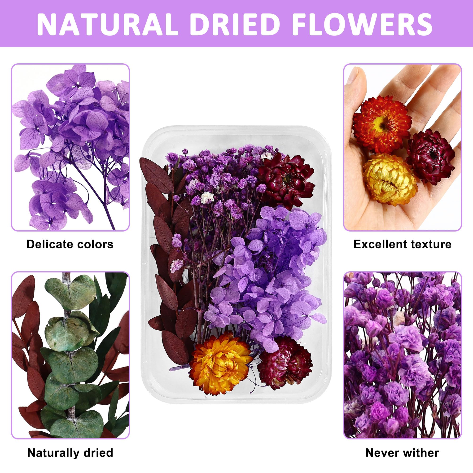 3 Boxes Natural Dried Flowers Set, Mixed Pressed Dried Flowers and Leaves - Image 3