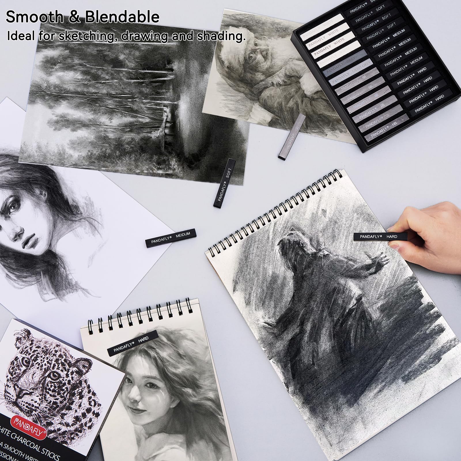 Amazon.com : PANDAFLY 24 Pieces Compressed Graphite Charcoal