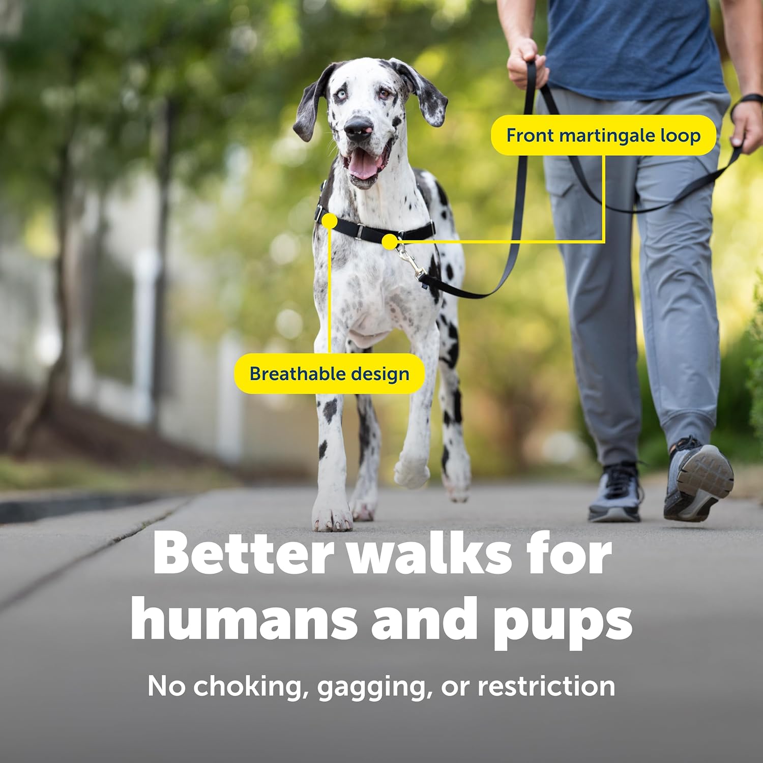 PetSafe Easy Walk No-Pull Dog Harness - The Ultimate Harness to Help Stop Pulling - Take Control & Teach Better Leash Manners - Helps Prevent Pets Pulling on Walks, X-Large, Black/Silver