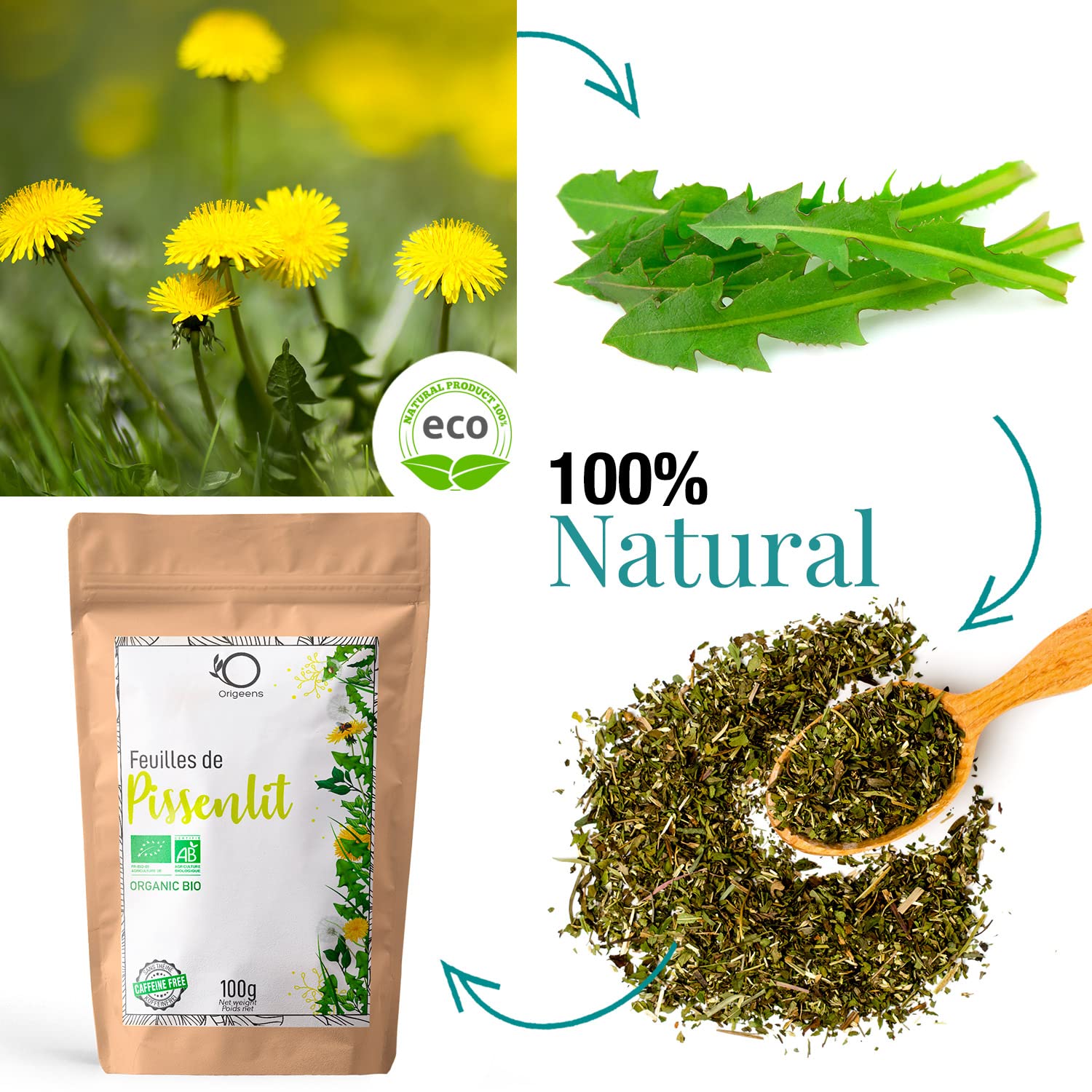 ORIGEENS Bio Diente de Leon Infusion 100g - Hojas de diente de leon secas - ​​Infusion drenante y diurética - Dandelion tea