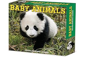 Baby Animals 2024 Calendar Kids Daily Calendar 2024 Wall Calendar for Kids...