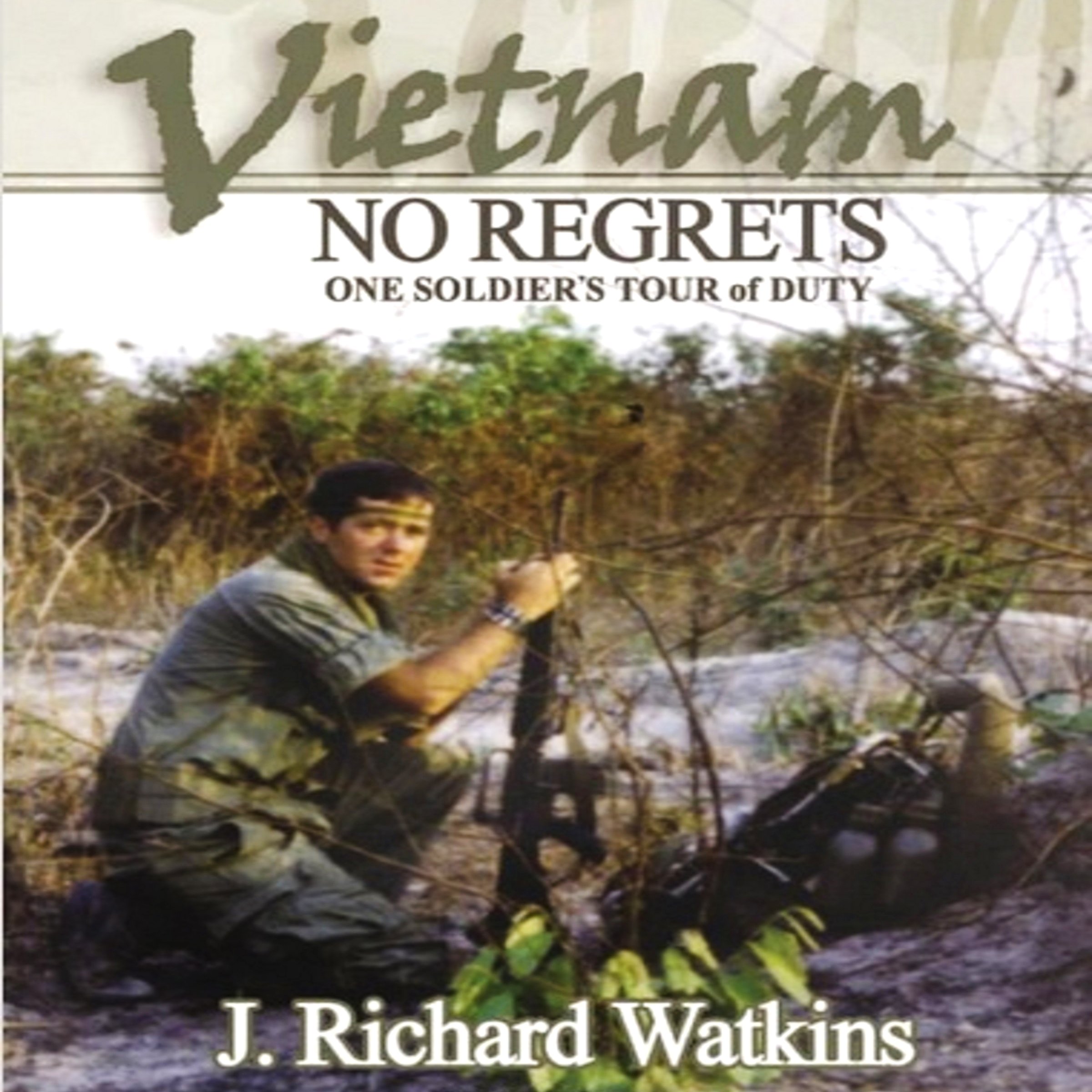 Cover art for Vietnam: No Regrets