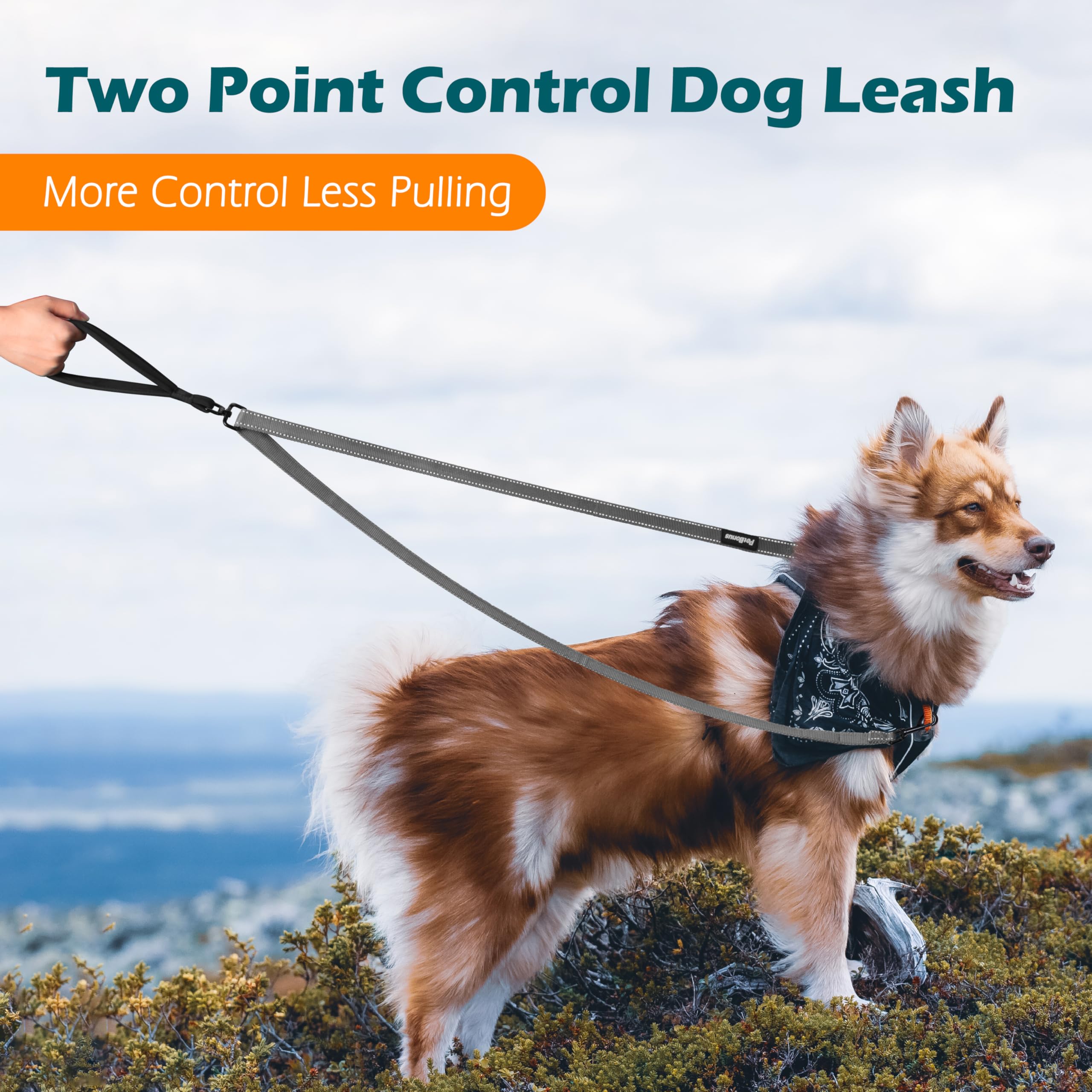 PetBonus Two Point Control Dog Lead, Works with No Pull Harnesses, No Tangle Training Leads - Image 2