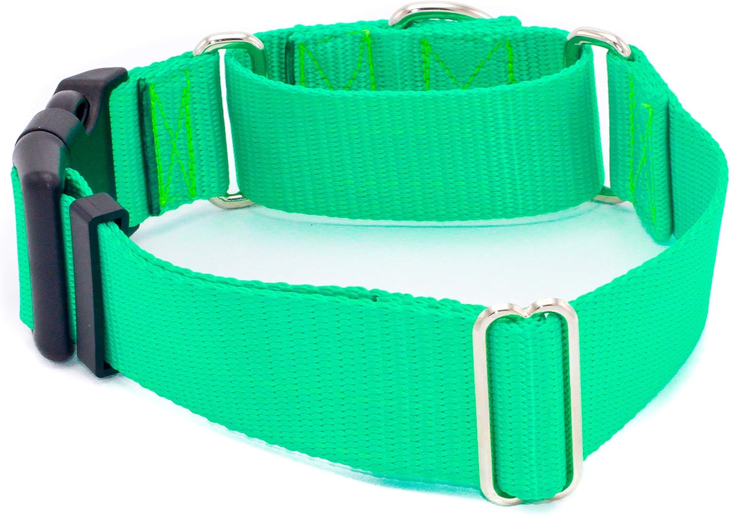 1 1/2 Inch Width Martingale w/Buckle Dog Collars - Heavy Duty Nylon (1.5" Width Dog Collars (Turquoise, Medium)