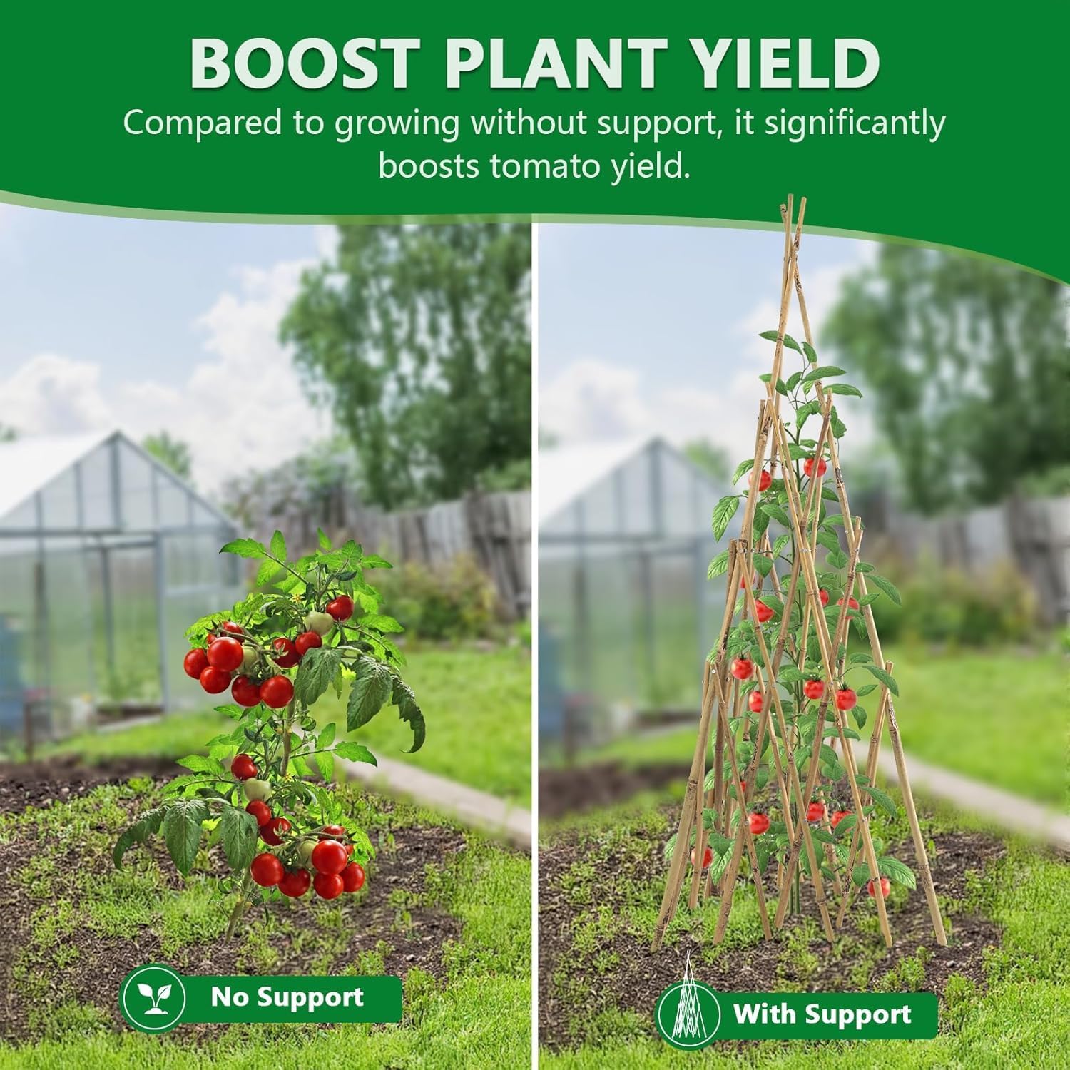 Garden Bamboo Obelisk Plant Support for Climbing Plants Outdoor, Adjustable Height 35 to 45 inches Tall Cucumber Trellis