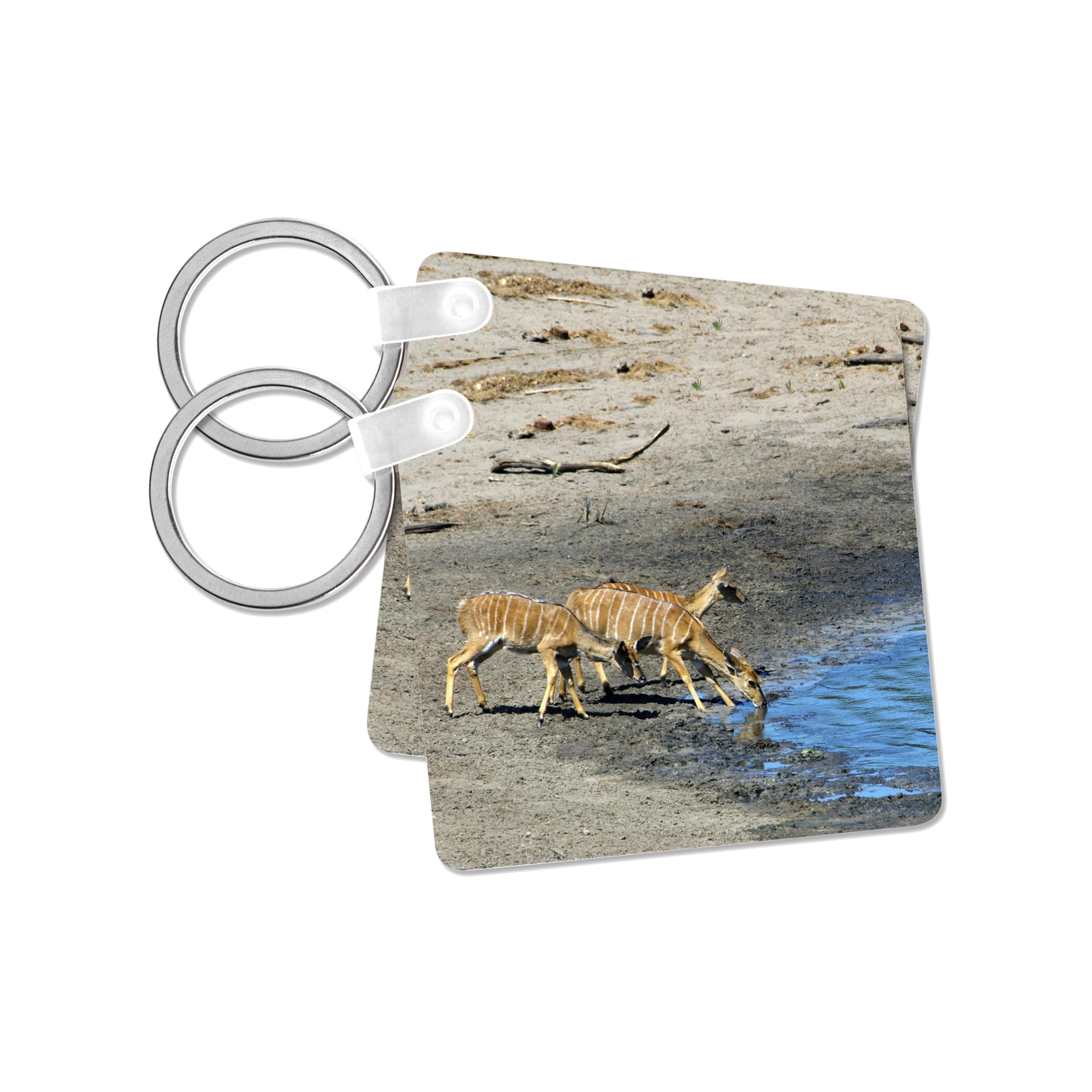 3dRose, South Africa, KwaZulu Natal, Nyala antelope-AF42 JEN0055 - Jim Engelbrecht, set of 2 Key Chains