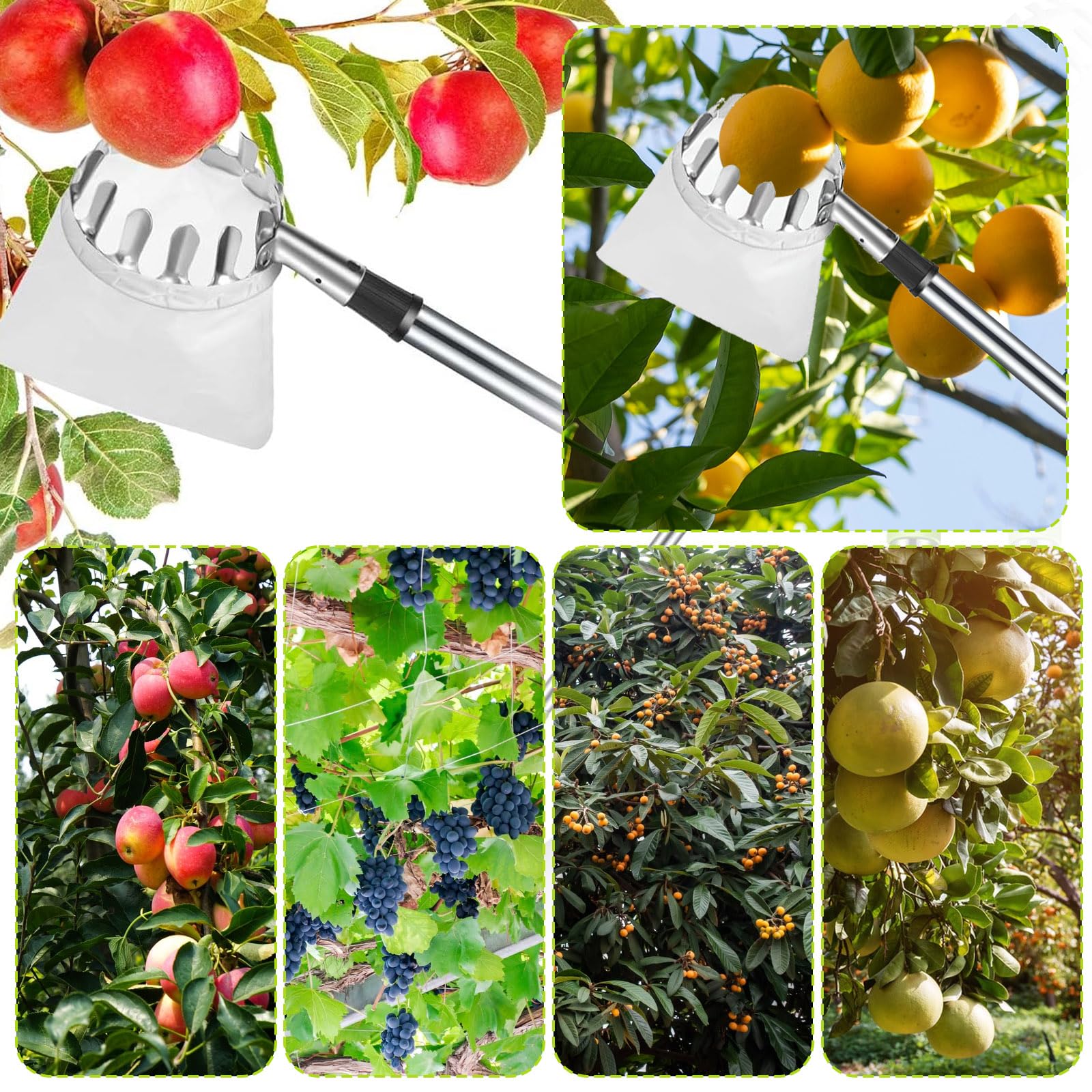 Raccogli Frutta,Raccogli Frutta con Palo in Acciaio Inox Leggero,2.8m Raccoglitore di Frutta,Diametro 13 cmMela Raccoglitrice,Raccogli Frutta da Albero con Testa a Cestello,Raccogli Fichi
