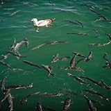 Penne with Gorgonzolaand more recipes, your grocery list, and menu planner anywhere.