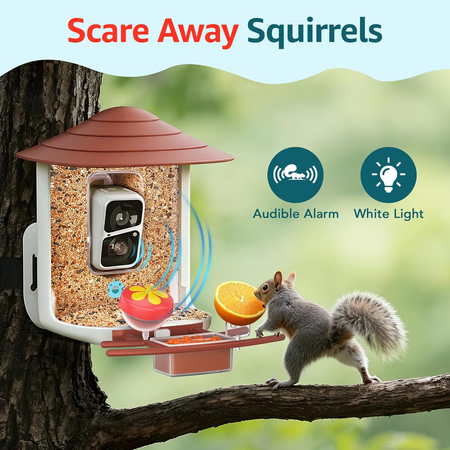 birdsnap® TUC Bird Feeder with Camera 2K HD, Solar Panel 32GB Card 4-in-1 Perch, 160°View Auto Detect & Notify AI Identify Video Bird Camera Wireless Outdoors Ideal Gift for Birds Lover - Image 8