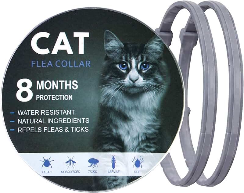 8 month flea collar for cats