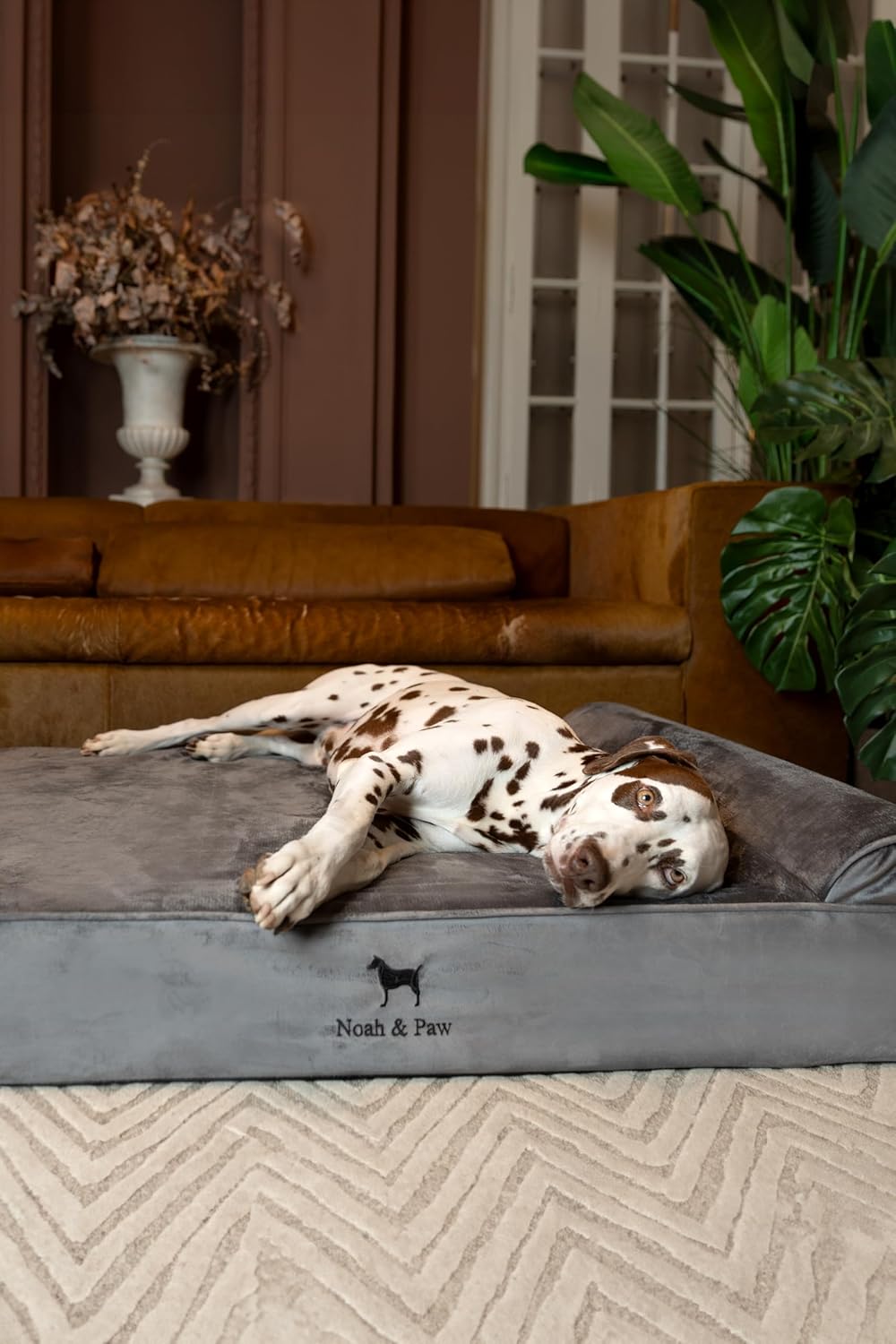 NOAH & PAW XL Dog Bed, 45x35x9.1 Inch, Orthopedic Large Dog Beds, Eggshell Memory Foam Infused with Cooling Gel, Waterproof, Machine Washable, Includes Inner Cover (Velvet Collection)