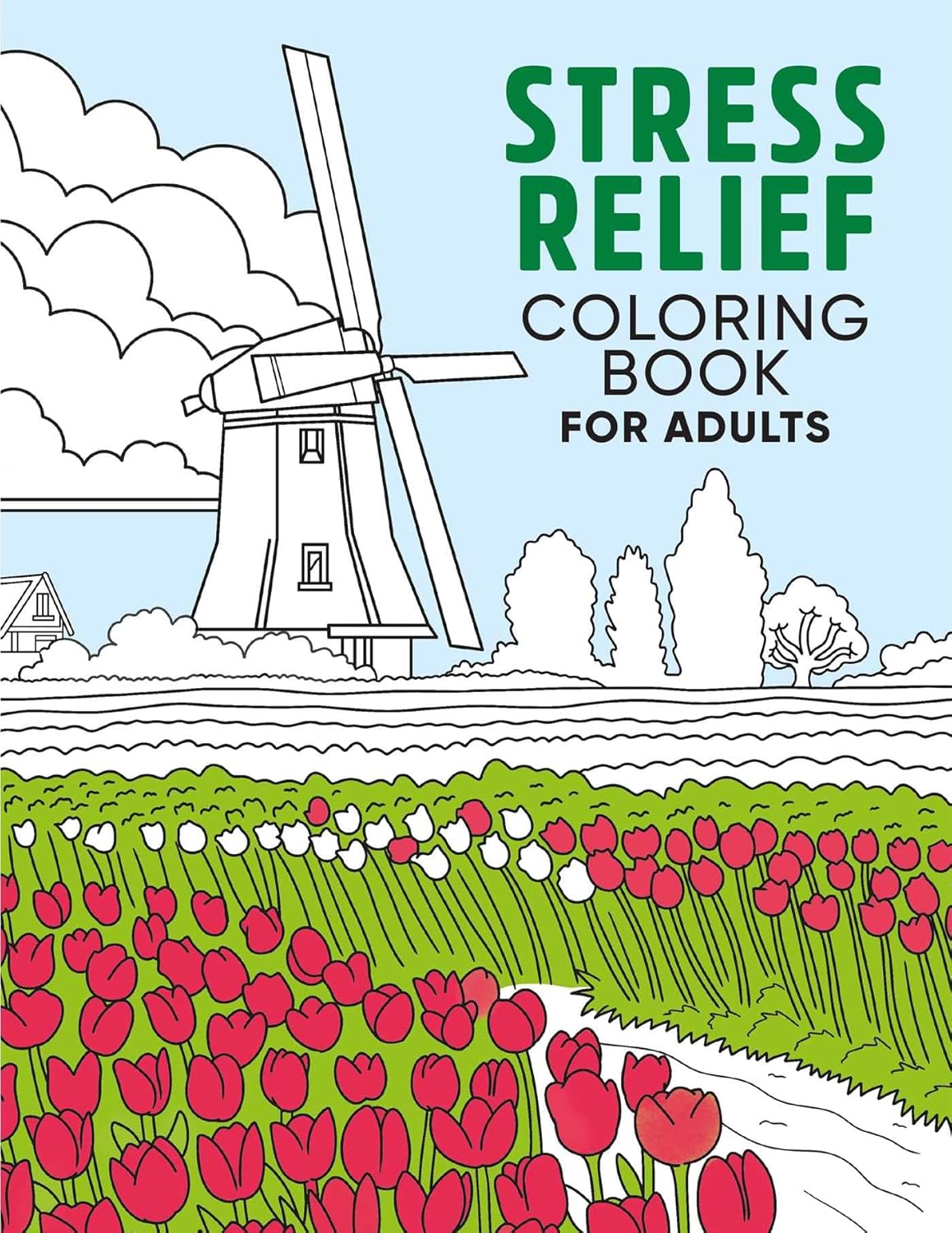 Amazon.com: Stress Relief Coloring Book for Adults: 9781648766091
