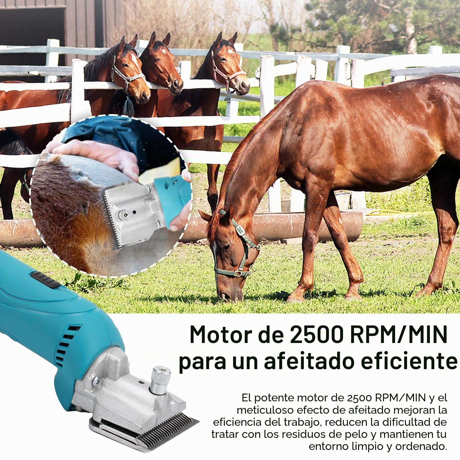 Maquina de Cortar el Pelo Caballo, Cortadora de Pelo Inalámbrica para Makita batería Caballos 6 Velocidades 35 Dientes Cortadora de Pelo para Animales para Pelo de Vaca Oveja Caballo (sin batería)