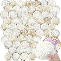 Vista 1 de YOUKE OLA 60 conchas de vieira para manualidades, conchas naturales de playa grandes a granel para decoupage, manualidades, conchas marinas