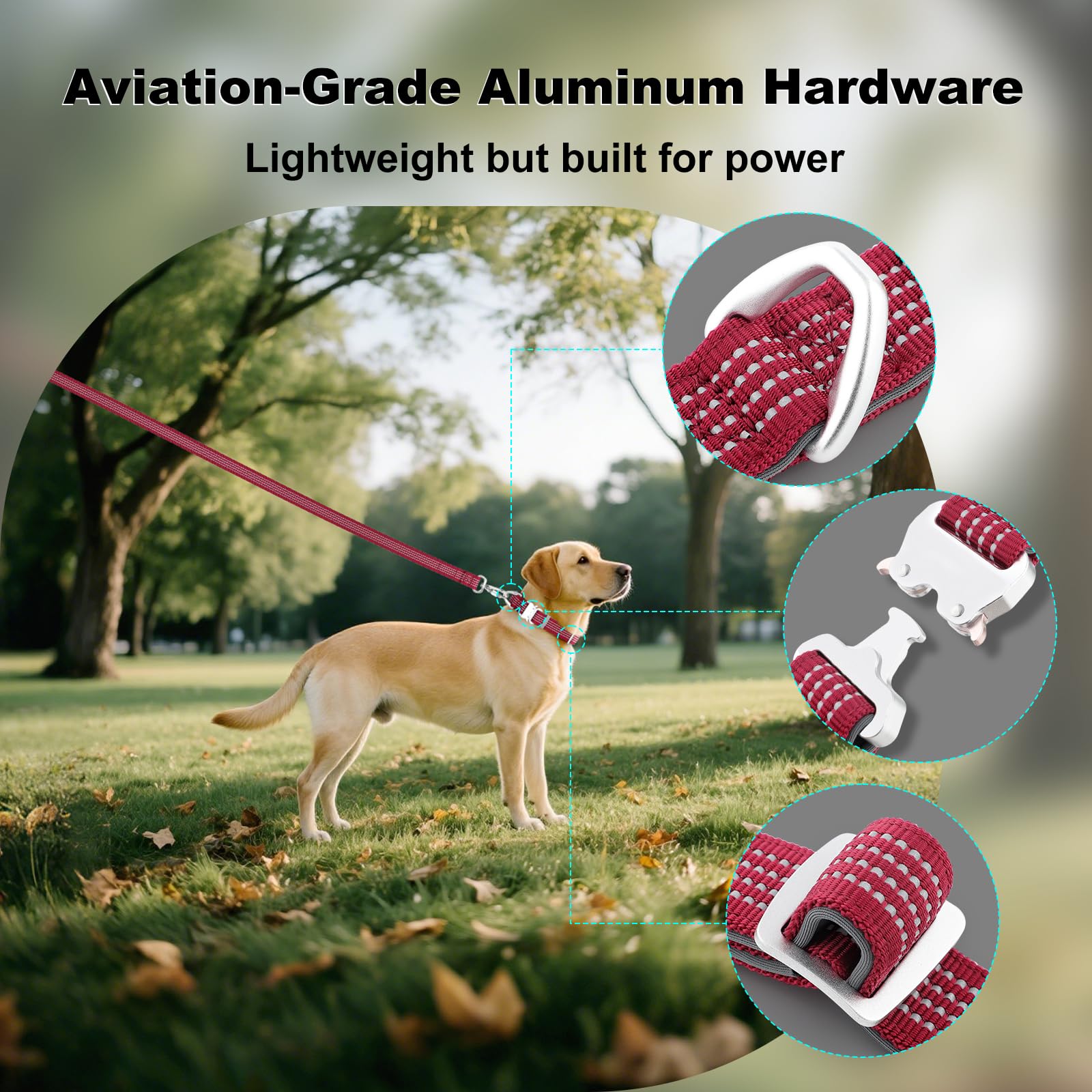 Plutus Pet Reflective Dog Collar with Aviation Aluminum Buckle, Neoprene Padded for comfort Lightweight - Image 3