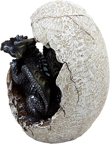 Miniatura 4 de Ebros Gift Fossil Raeon - Figura decorativa de dragón con luz del sol, diseño de cría de dragón que rompe de cáscara de huevo, 5 pulgadas de alto,