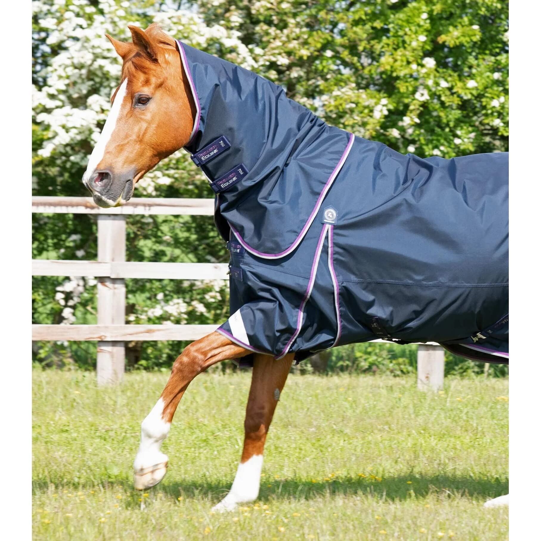 Coperta impermeabile per cavalli con copricollo Premier Equine Buster 70 g
