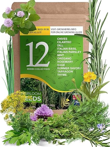12 semillas de hierbas culinarias y medicinales tradicionales para plantar, sin OMG y cultivadas en Estados Unidos, paquete variado para jardín