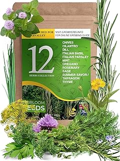 12 Heirloom Culinary and Medicinal Herb Seeds for Planting - Non GMO, and USA Grown - Variety Pack for Indoor, Outdoor and...