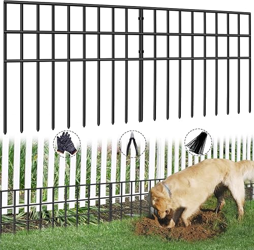 Amazon Pet Product B0DNYH8WCF — Amazon product photo