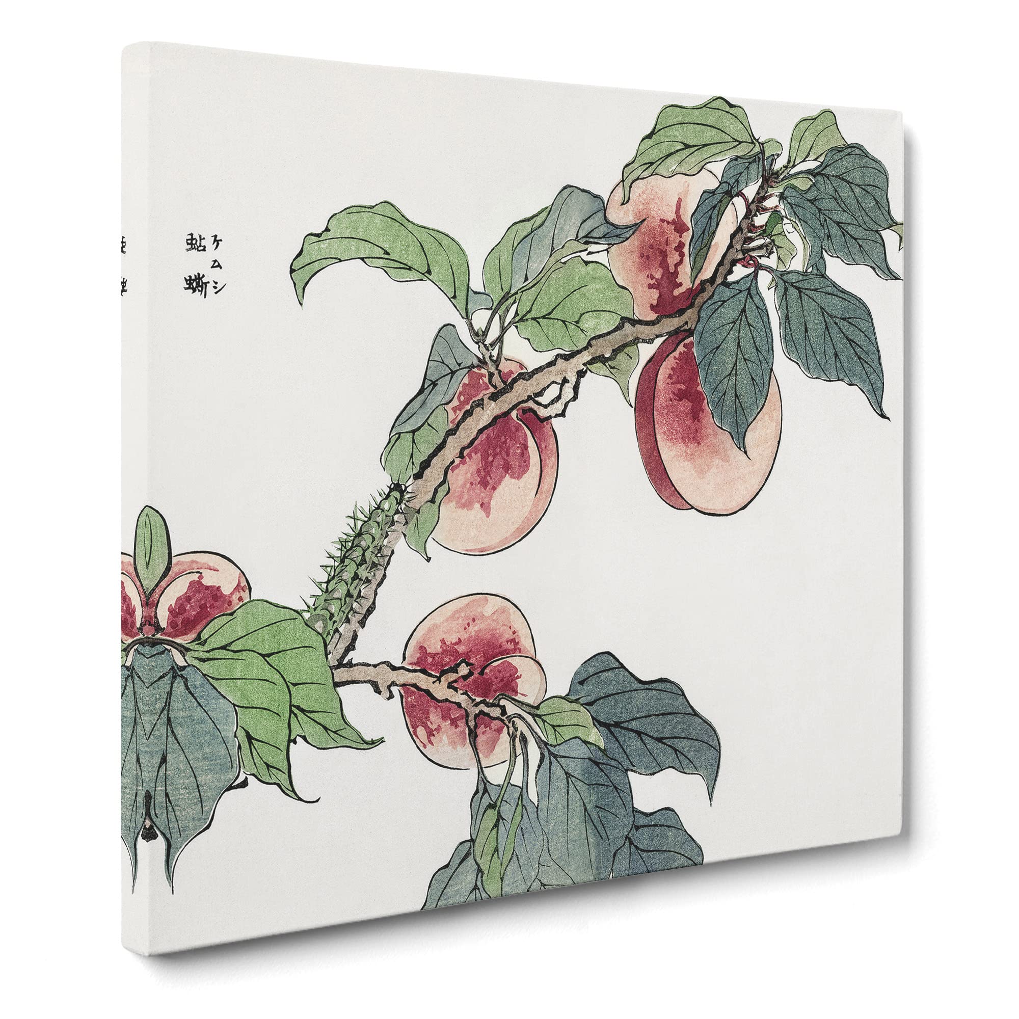 Caterpillar on a peach Tree by Morimoto Toko Canvas Print, Mixed, 35L x 35W cm