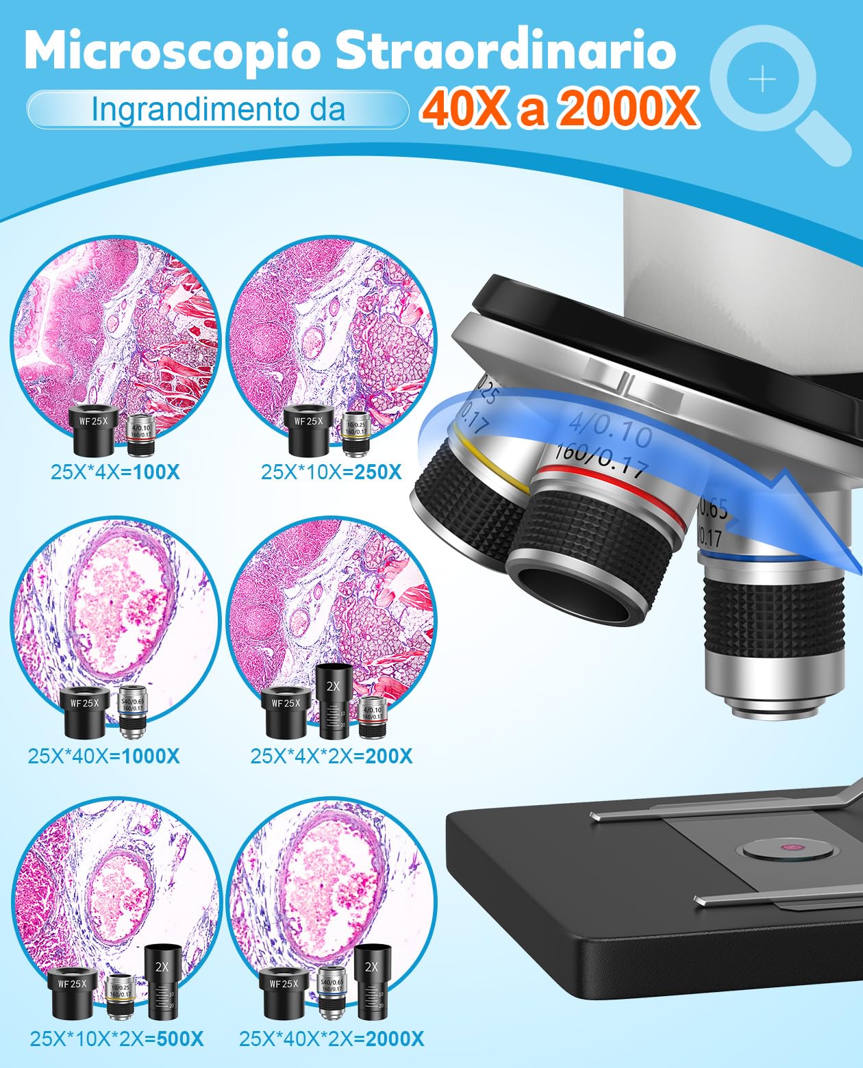Microscopio 40X-2000X per Bambini Studenti Adulti: Microscopio Ottico Professionale per Lab, Casa e Scuola con Vetrini, Supporto per phone, Struttura in Metallo, Regalo Educativo per ragazzi 8-12