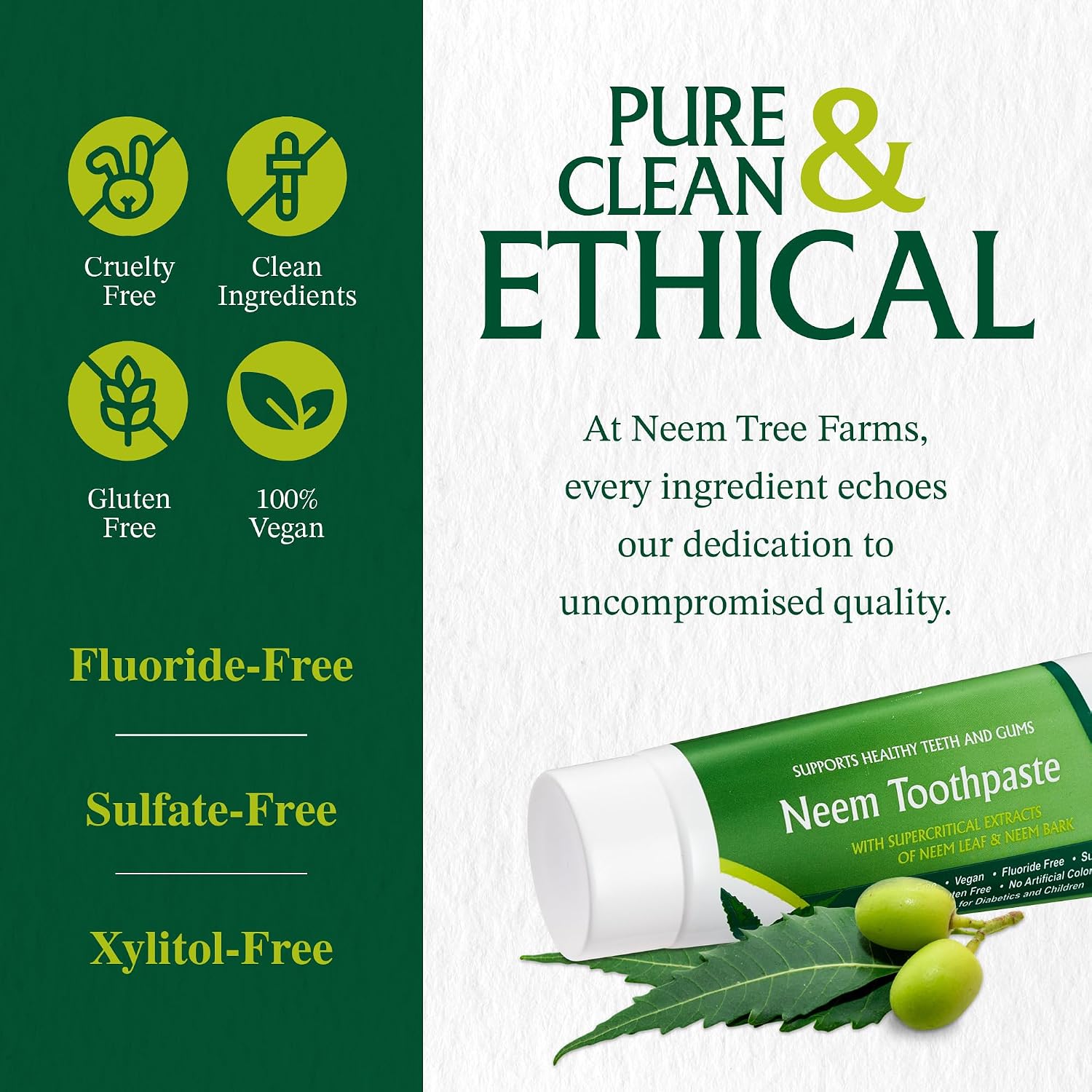 Fluoride Free Toothpaste, Vegan Gluten Free Natural, 5 oz image 4