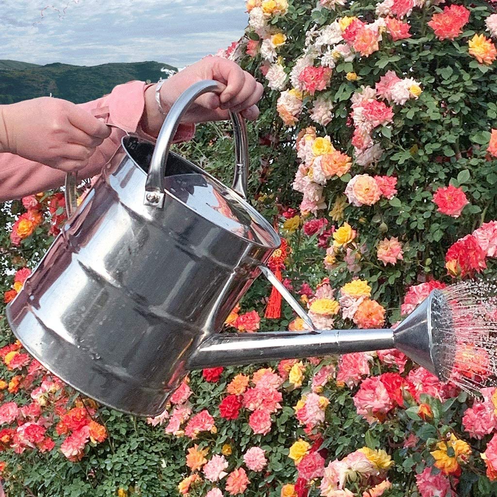 Annaffiatoio in acciaio inox con rivestimento antiruggine per giardino e piante