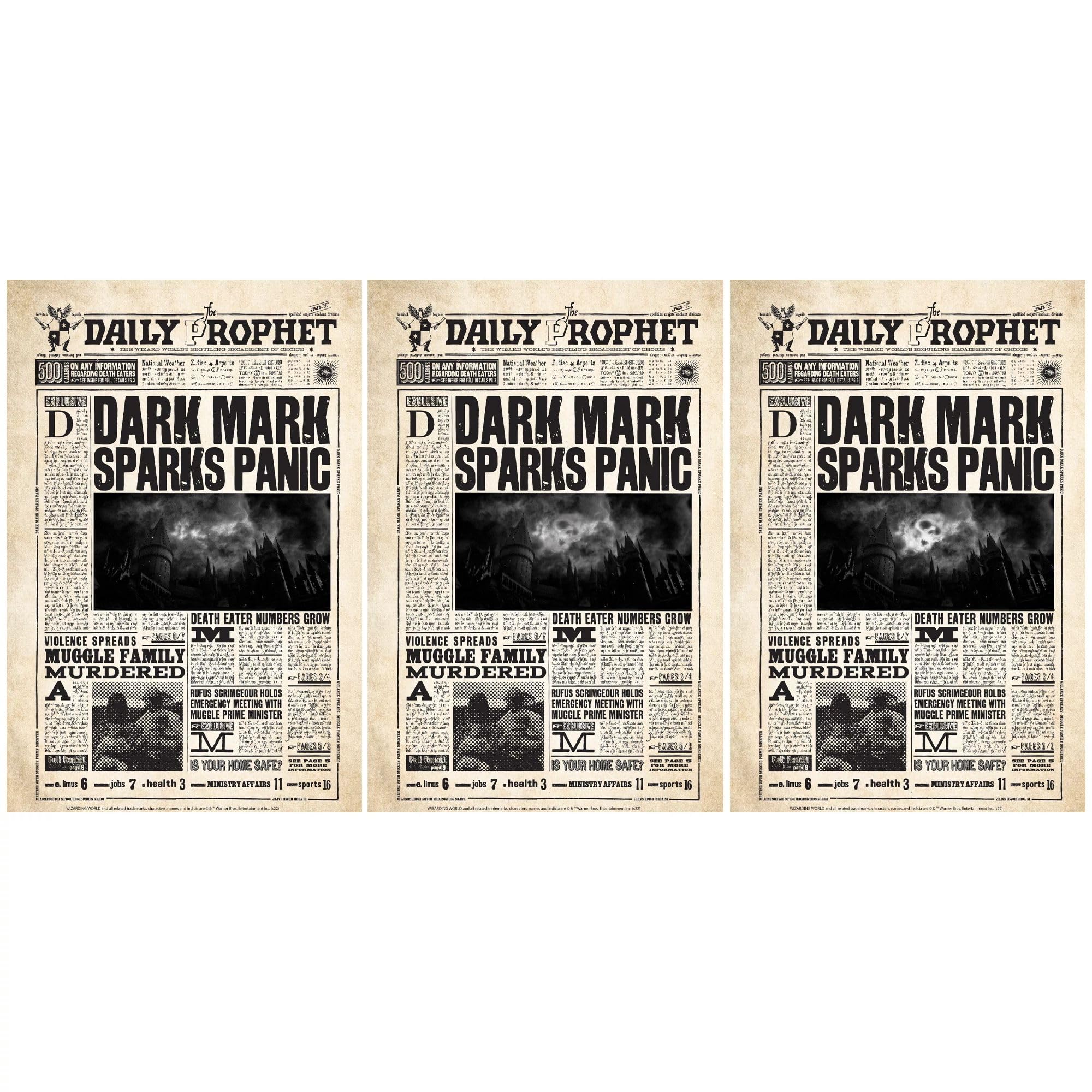 Amscan Harry Potter Lenticular - 18" x 12", Plastic, Pack of 1, Daily Prophet