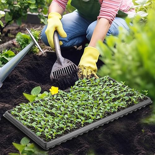 Vista 5 de Bandeja de enchufe de 200 celdas, paquete de 10 unidades gruesas y duraderas para principiantes, semillas de frutas y verduras, plántulas, enchufe