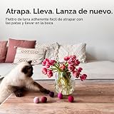 Ver la foto 3
