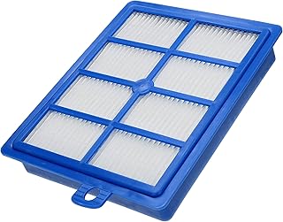 Wessper Hepa Filtre pour AEG Electrolux | EFH12W H12W