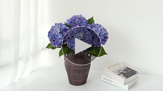 Hydrangea4937　0602 Bloomin' Easy 2 gal. Potted Flare Hardy Hydrangea Plant at