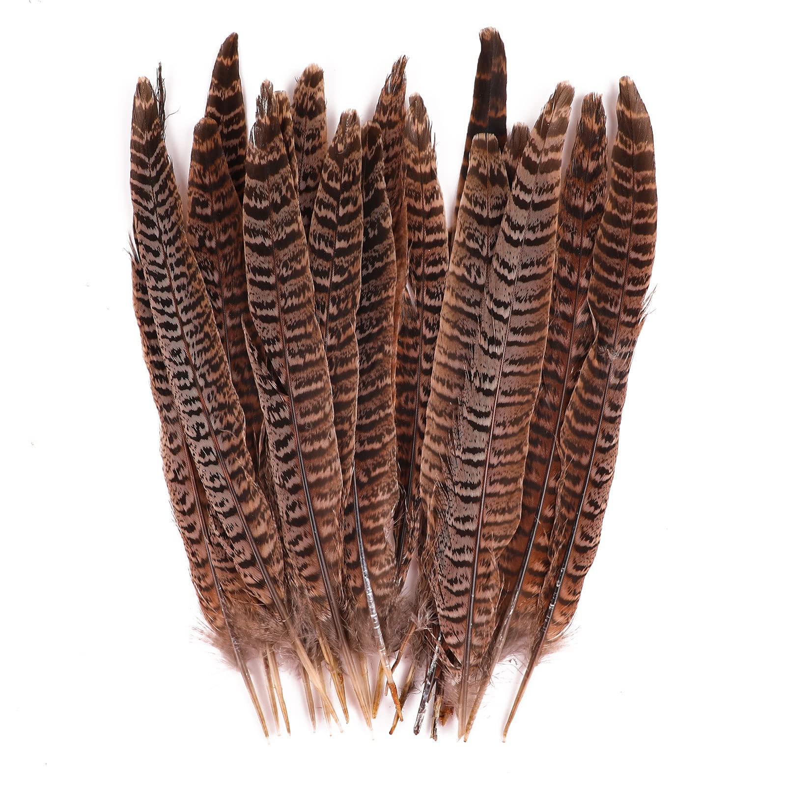 Pheasant Feathers, 20pcs Pheasant Tails Feather, Soft Pheasant Plumage Feathers, Natural Long Feathers for Hair, Hats, Crafts, Cosply Props, Party Decoration (Brown, 7-10in)