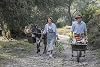 Die Durrells - Die komplette Serie - Ein Familien-Abenteuer auf Korfu
