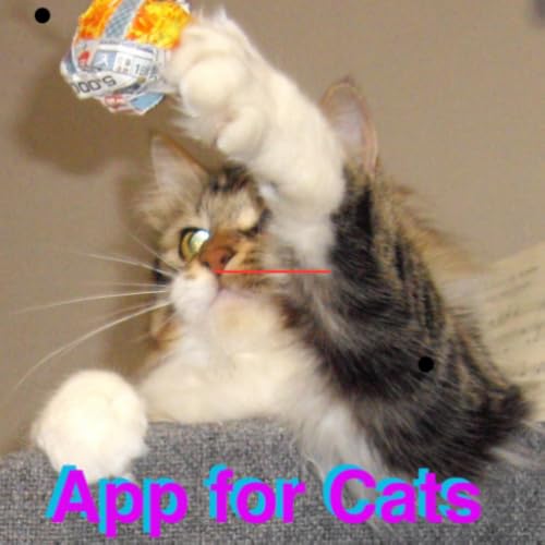 Toy App for Cats