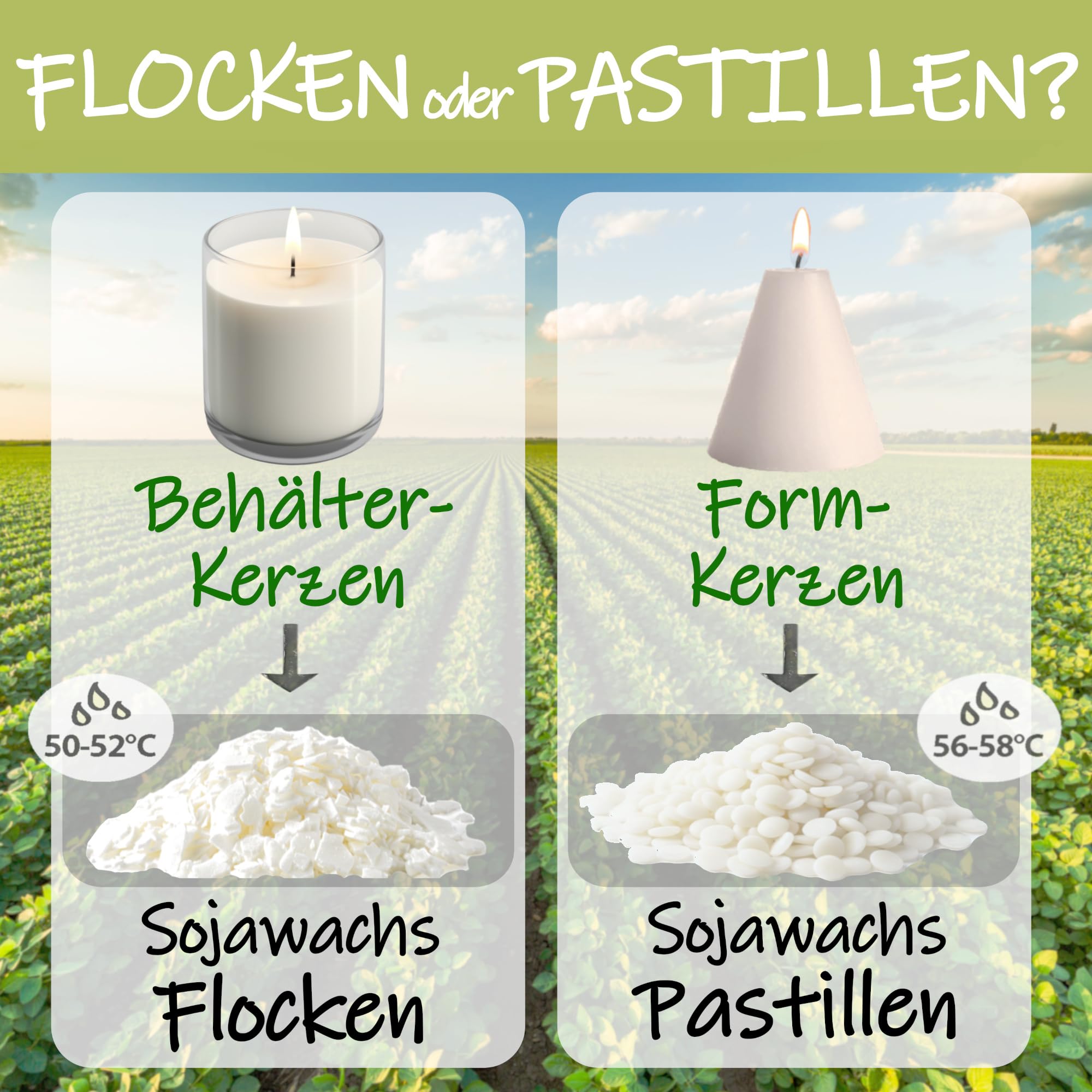 Premium Sojawachs Flocken 5 kg | natürlich | nachhaltig | palmölfrei | Kerzenwachs für DIY Kerzen in Gläsern Dosen Schalen Behältern - Größen bis 20 kg