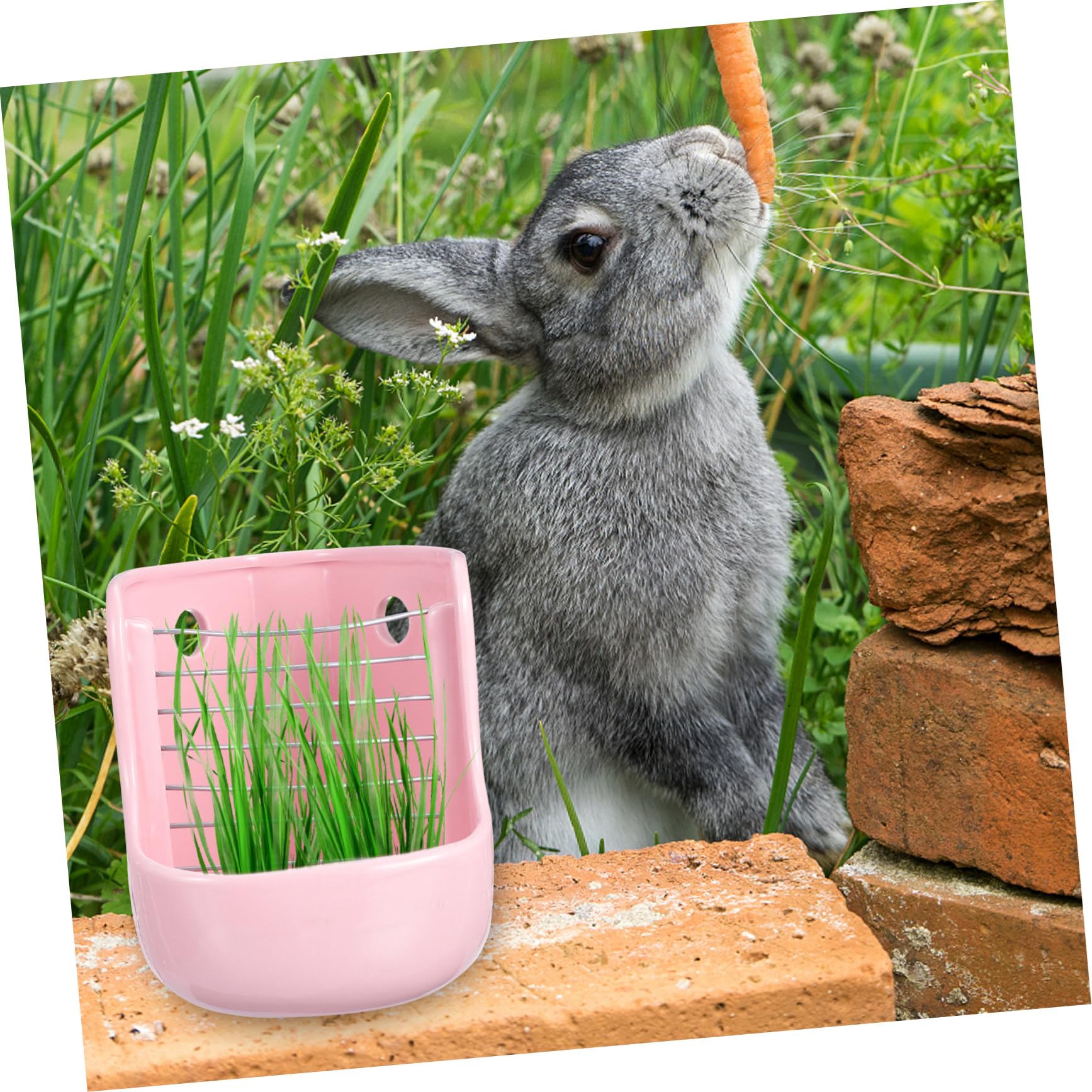 Mangiatoia Ceramica per Cavie e Cincillà Funzione Doppia | Rosa, Mantiene Cibo Pulito e Asciutto, Separa L’urina, per Piccoli Animali