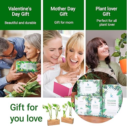 Miniatura 15 de Ivolador Estación de propagación de plantas, tubos de propagación de plantas, regalos para amantes de las plantas, soporte de corte de plantas