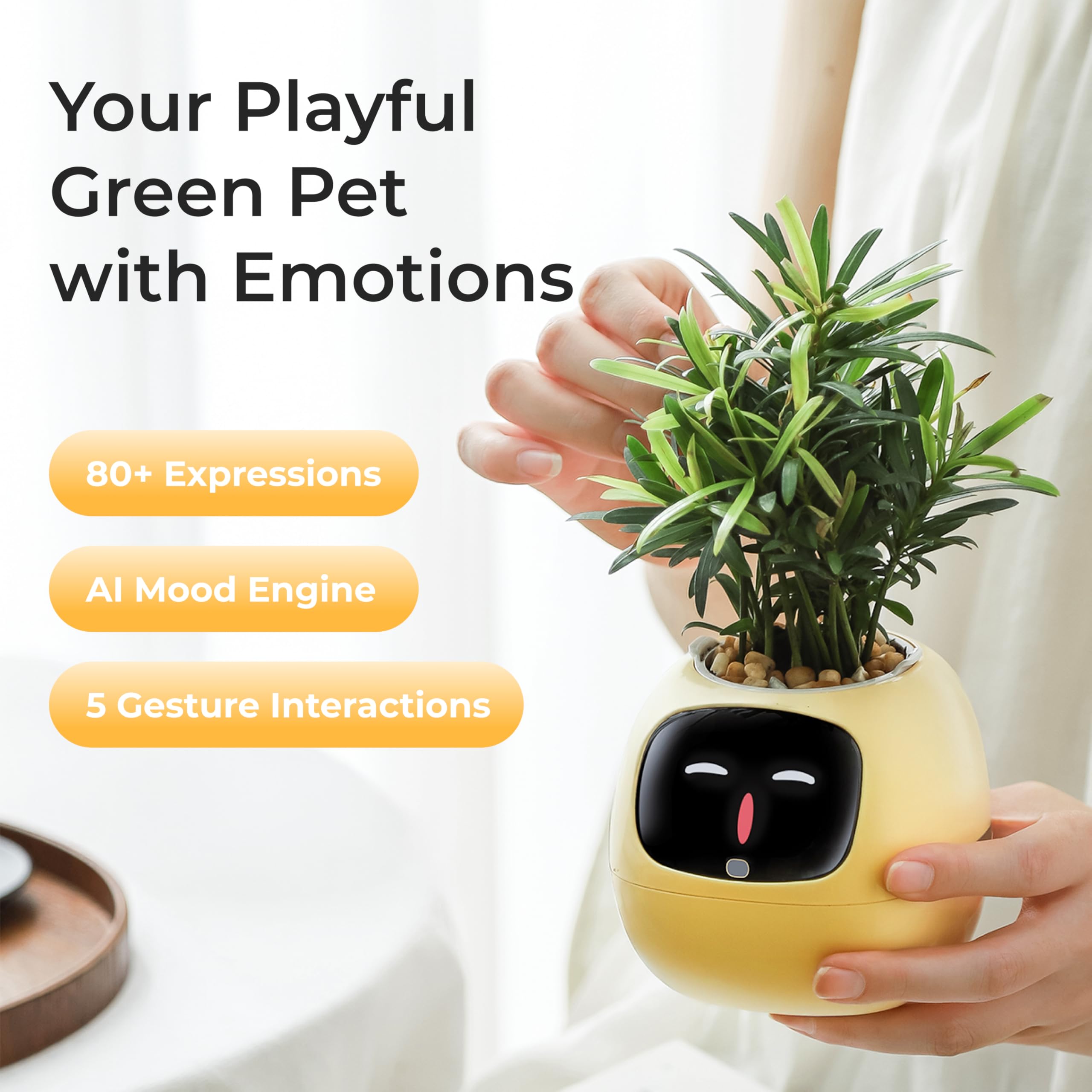 PLANTSIO Maceta inteligente de hiedra para decoración del hogar, plantas, compañera, configuración ordenada de escritorio, regalo, maceta para mascotas, guía robótica para el cuidado de plantas con