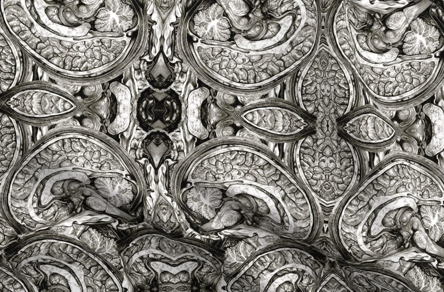 Spoonflower Fabric - Brain Brains Anatomy Black White Halloween Costume Fashion Anatomical Printed on Organic Cotton Sateen Fabric by The Yard - Sewing Quilting Apparel Home Decor