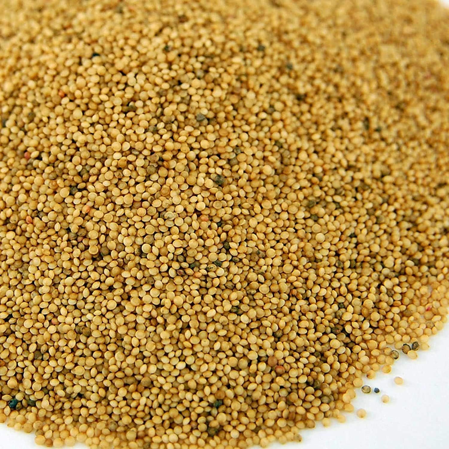 Organic Amaranth Seeds- 1 Lbs- Grain Seed for Sprouting Sprouts, Cooking, Grinding for Flour, Soup, Food Storage & More