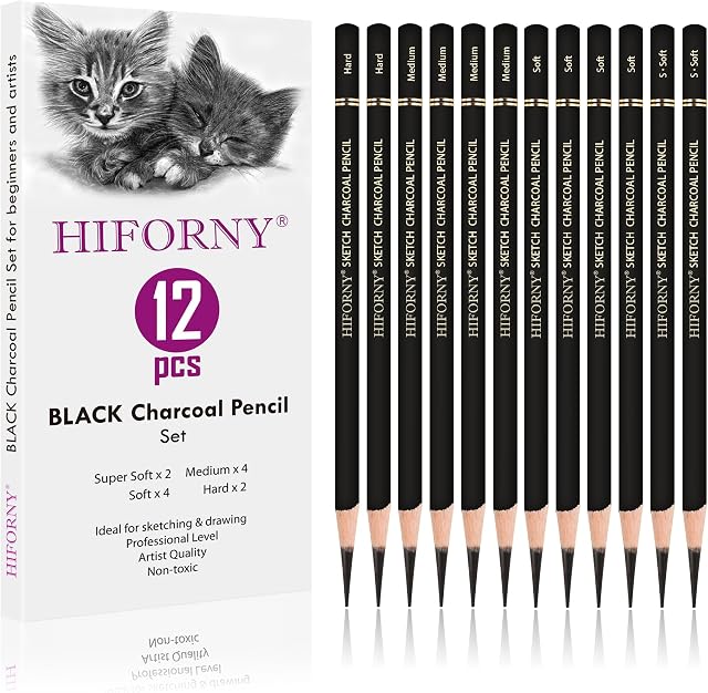 HIFORNY 12 Pièces Crayons de charbon Ensemble de dessin - Super Soft,Soft,Moyen et Crayons de charbon dur pour le dessin, le sketching, le revêtement, le bendage, le portrait