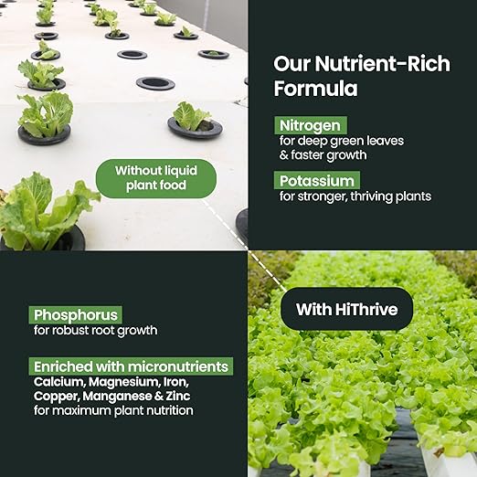 HiThrive Fertilizante Líquido 16 oz para Hidroponía miniatura 5