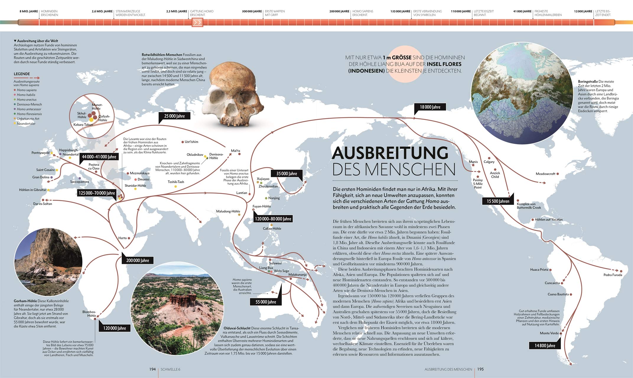 Geschichte. Universum - Erde - Mensch: Vom Urknall bis heute: 13,8 Milliarden Jahre Natur- und Menschheitsgeschichte im Überblick