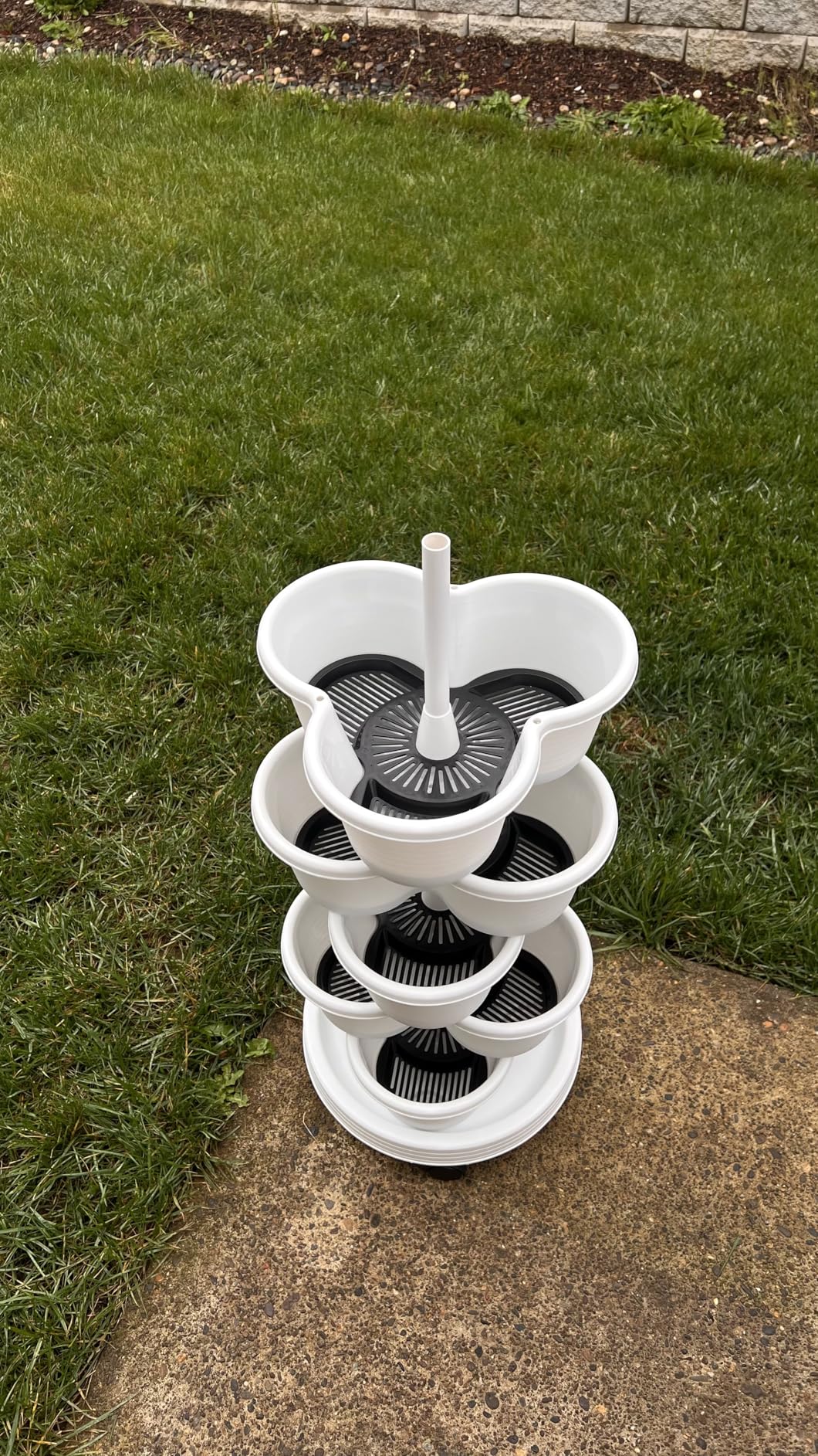 VECELO rolling planter with strawberries