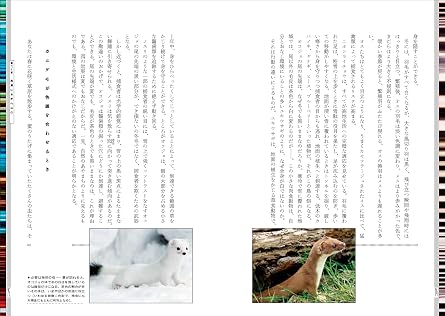嘘つく生きもの 動物と植物が魅せる、擬態とカモフラージュ