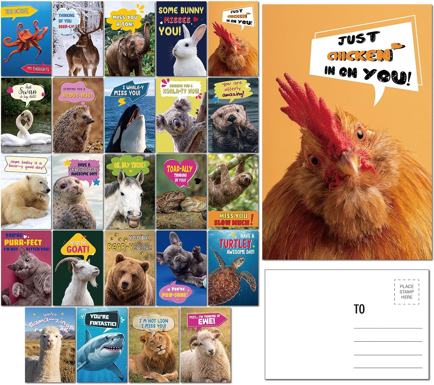 Eaasty 48 Pack Funny Animal Postcards 4x6, Punny Greetings Cards Bulk