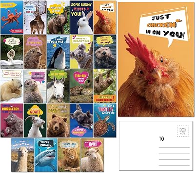 Eaasty 48 Pack Funny Punny Postcards 4 x 6 Inch Animal Pun Postcards Bulk Punny Greeting Cards with Fun Animal Humorous Blank Notecards for Kids Students Summer Camp Lunchboxes