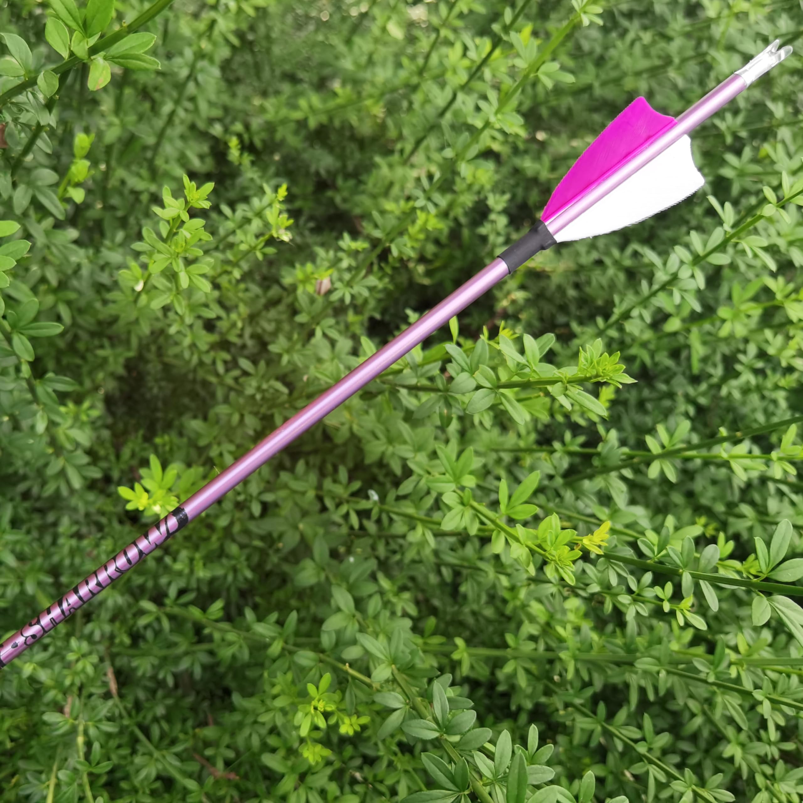12 Stück Bogenschießen Carbonpfeile 400/500/600/700/800/900/1000 Spine mit True Feather Shooting Bogenschießen Praxis Jagdpfeil für Recurve-Bogen Compound-Bogen